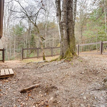 Peaceful Warne Cabin Fenced Yard And Screened Porch Brasstown Esterno foto