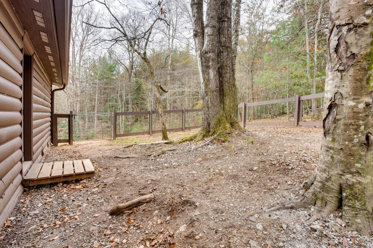 Peaceful Warne Cabin Fenced Yard And Screened Porch Brasstown Esterno foto